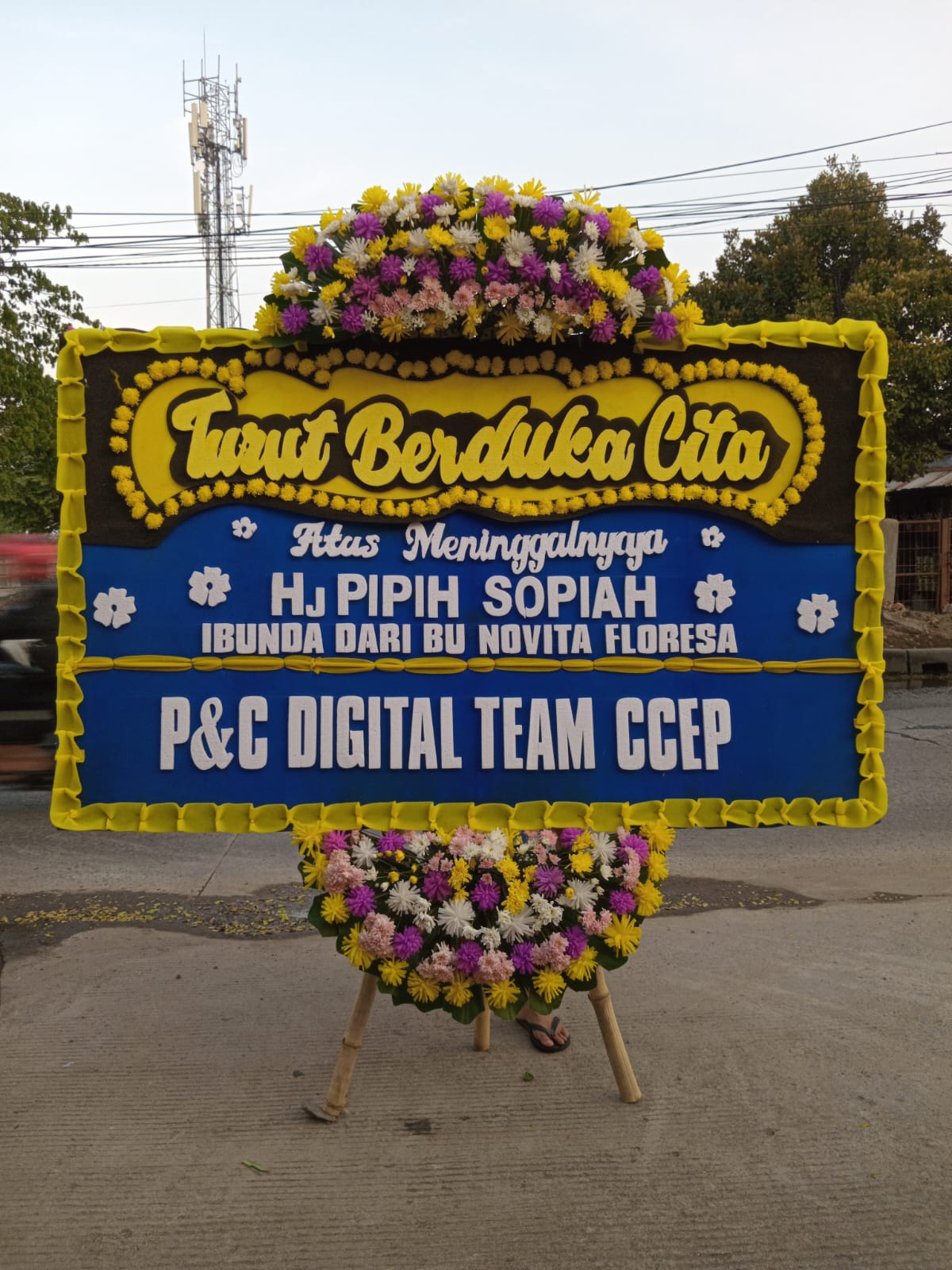 member image